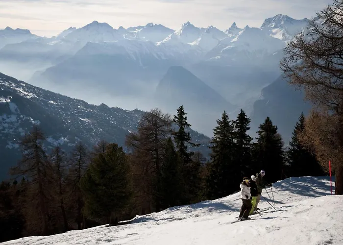 Magrappe M 340 - Lift 6 Pers 베이소나츠